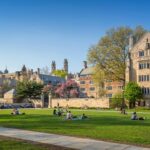 from-dante-to-cardi-b?-the-collapse-of-ivy-league-curricula