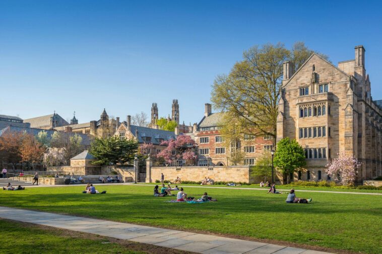 from-dante-to-cardi-b?-the-collapse-of-ivy-league-curricula