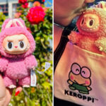 heartbroken-san-francisco-woman-posts-missing-flyer-for-pink-labubu:-‘i-regret-getting-too-lit’