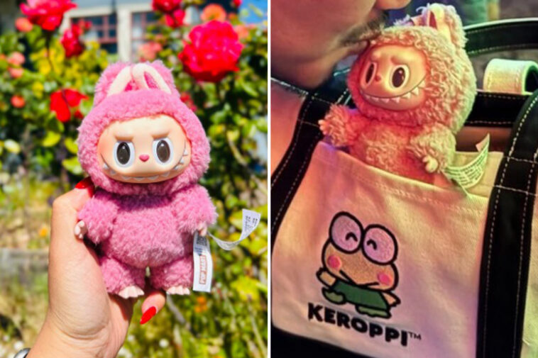heartbroken-san-francisco-woman-posts-missing-flyer-for-pink-labubu:-‘i-regret-getting-too-lit’