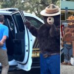 the-guy-never-saw-it-coming:-smokey-bear-gets-personal-revenge-on-man-accused-of-stealing-smokey-bear-signs