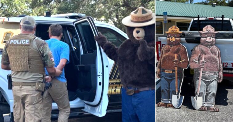 the-guy-never-saw-it-coming:-smokey-bear-gets-personal-revenge-on-man-accused-of-stealing-smokey-bear-signs