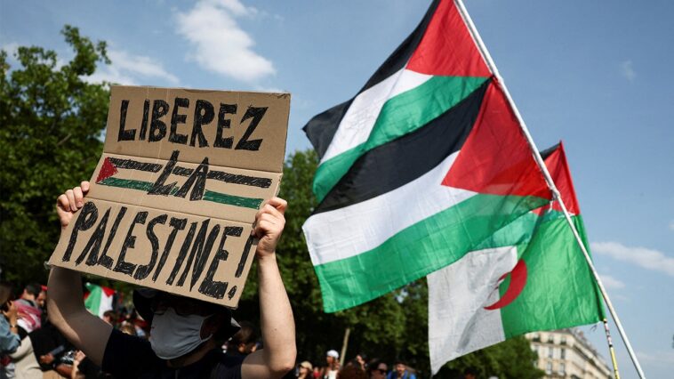 france-to-deport-palestinian-woman-over-antisemitic-post-featuring-hitler,-halts-gaza-evacuations