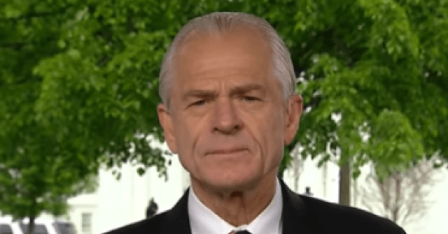 navarro:-numbers-show-jobs-created-for-americans,-bls-is-incompetent,-economy-is-good,-and-rates-being-too-high-may-be-issue