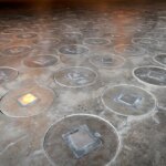 radioactive-wasp-nest-discovered-by-workers-at-former-nuclear-bomb-site