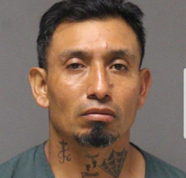 horror:-illegal-alien-criminal-with-prior-duis-kills-new-jersey-mother,-11-year-old-daughter-in-head-on-collision