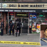 maniac-was-‘hell-bent’-on-getting-to-beloved-nyc-deli-worker-despite-mom’s-screams:-witness