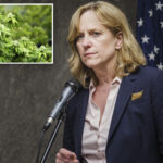ny-authorities-crack-$2.5m-drug-smuggling-ring,-seize-over-2k-pounds-of-illegal-weed-:-da’s-office