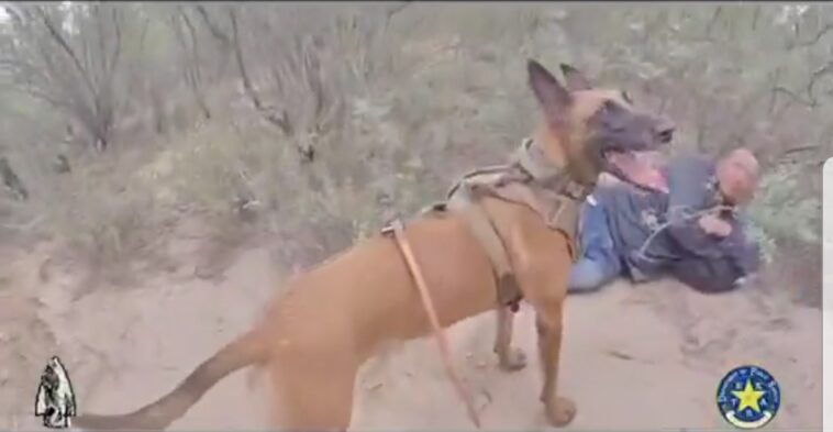video:-texas-dps-uses-k9-unit-to-track-illegal-aliens-in-brush