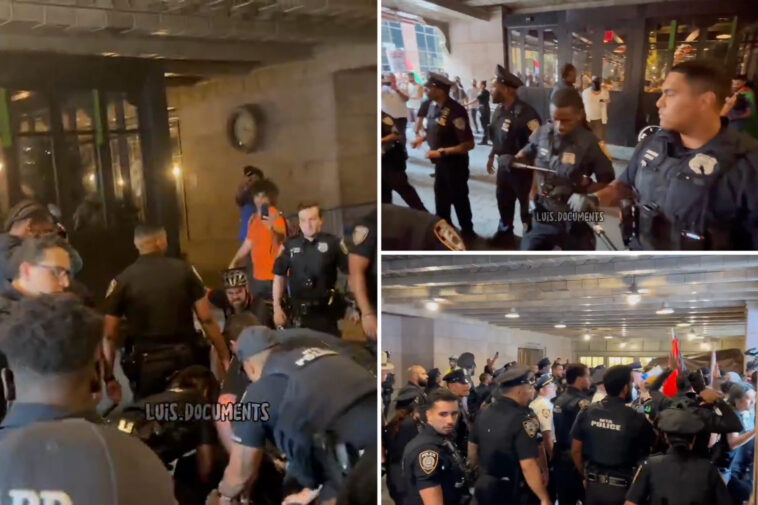 mob-of-anti-israel-protestors-clash-with-police-after-attempting-to-storm-grand-central-terminal:-cops