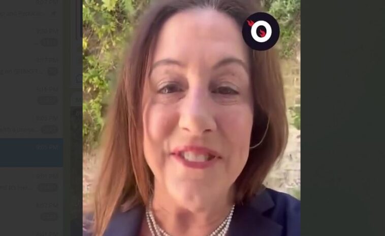 pelosi’s-daughter-christine-announces-reelection-to-democrat-national-committee