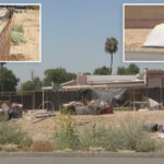 woman-killed-near-california-park-after-being-torn-apart-by-pack-of-stray-dogs,-pit-bull-shot-by-cops