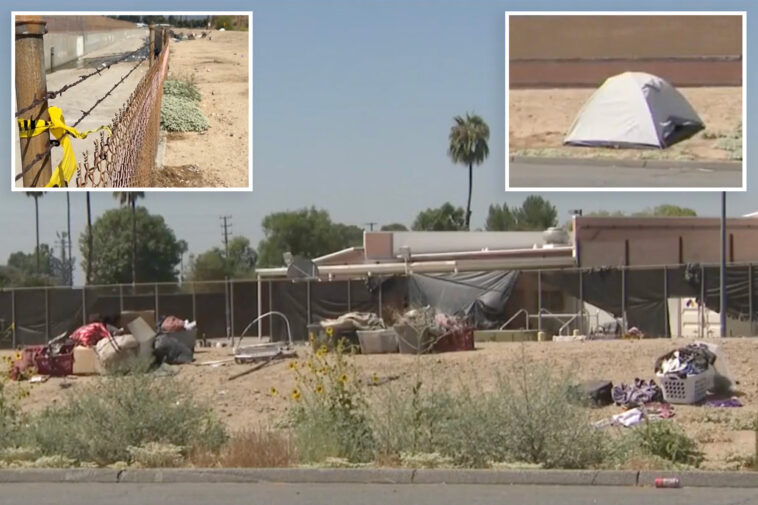 woman-killed-near-california-park-after-being-torn-apart-by-pack-of-stray-dogs,-pit-bull-shot-by-cops