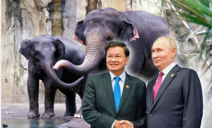 putin-receives-two-elephants-from-the-president-of-laos,-a-symbolic-gift-that-displays-the-friendship-between-russia-and-laos-for-the-65th-anniversary-of-diplomatic-relations-between-both-nations.