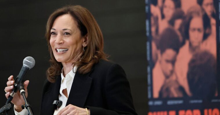 ex-cnn-analyst-warns-dems:-kamala’s-recently-announced-comeback-spells-doom