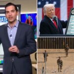 cnn-data-guru-harry-enten-dubs-trump-the-‘most-influential-president-this-century’