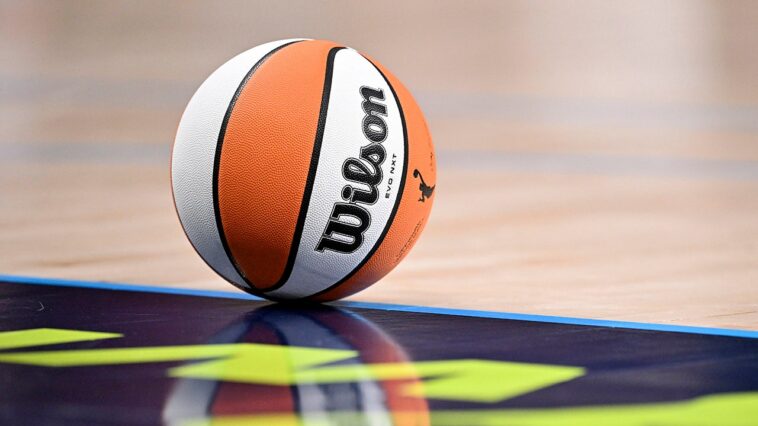 at-least-1-person-who-threw-sex-toy-onto-wnba-floor-arrested