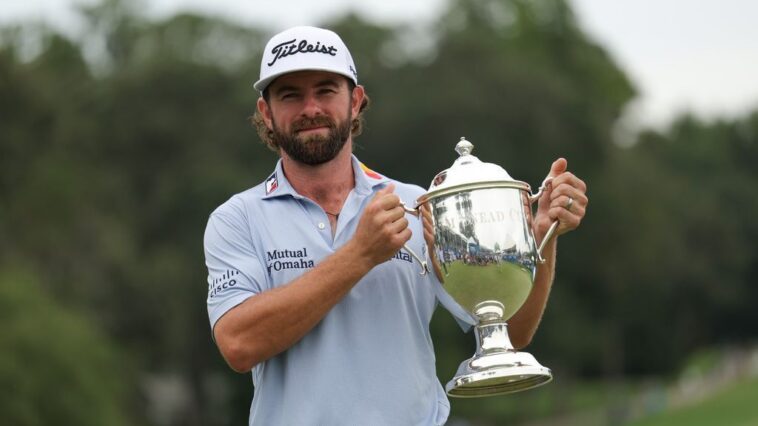 young-wins-elusive-1st-pga-tour-title-at-wyndham