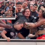 brawl-breaks-out-between-fans-during-wwe-summerslam-in-nj