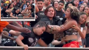 brawl-breaks-out-between-fans-during-wwe-summerslam-in-nj