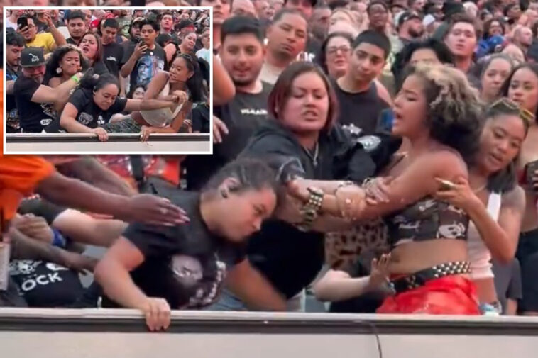 brawl-breaks-out-between-fans-during-wwe-summerslam-in-nj