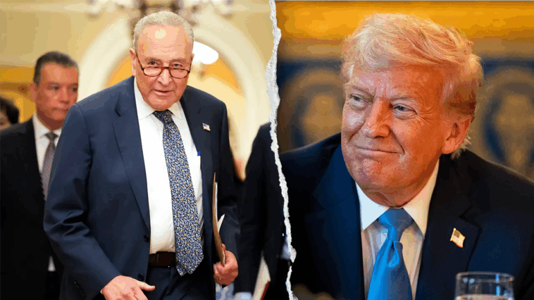 trump-accuses-senate-democrats-of-using-nominee-confirmations-as-leverage-for-funding-deals