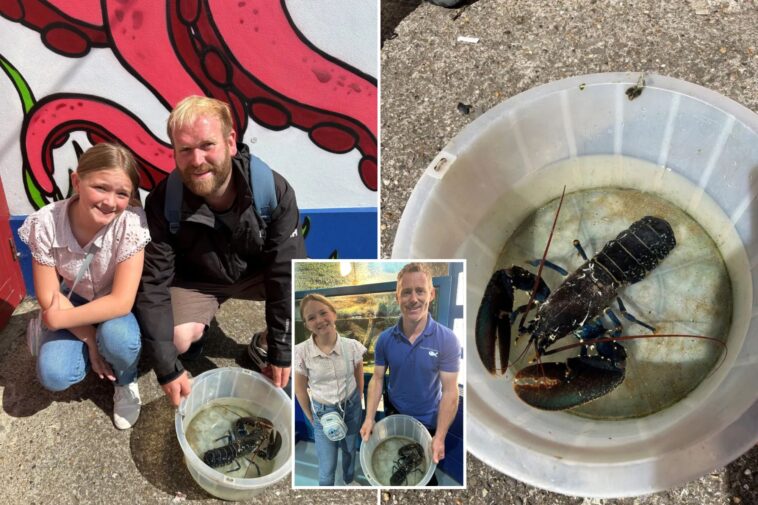dad-and-daughter-catch-‘one-in-two-million’-rare-blue-lobster-—-and-name-it-steve:-‘it-didn’t-feel-real’