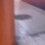 fire-under-nj-train-sends-passengers-fleeing;-multiple-treated-for-smoke-inhalation