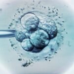 three-decades-later,-life-begins:-ohio-baby-boy-born-from-1994-frozen-embryo