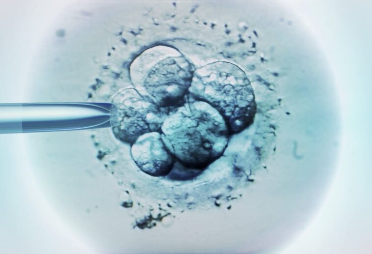 three-decades-later,-life-begins:-ohio-baby-boy-born-from-1994-frozen-embryo