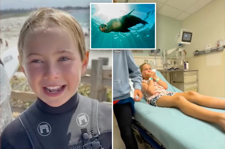 9-year-old-girl-bitten-by-sea-lion-in-rare-attack-while-at-surf-camp:-‘i-was-like,-oh-my-gosh-…-and-it-just-bit-me’