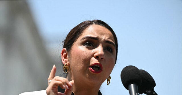 democratic-member-of-congress-confesses-guatemalan-identity