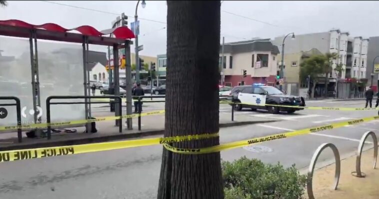 blue-city-paradise:-san-francisco-hockey-player-stabbed-in-neck-protecting-woman,-kids-from-possible-lunatic