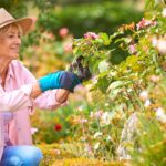 getting-ready-to-harvest-your-garden?-get-these-helpful-tools