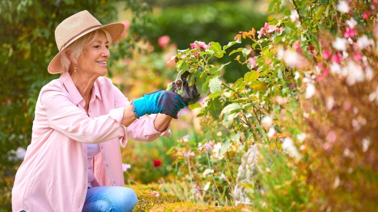 getting-ready-to-harvest-your-garden?-get-these-helpful-tools