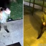 quadruple-murder-suspect-spotted-wielding-rifle-as-police-issue-lockdown-alert
