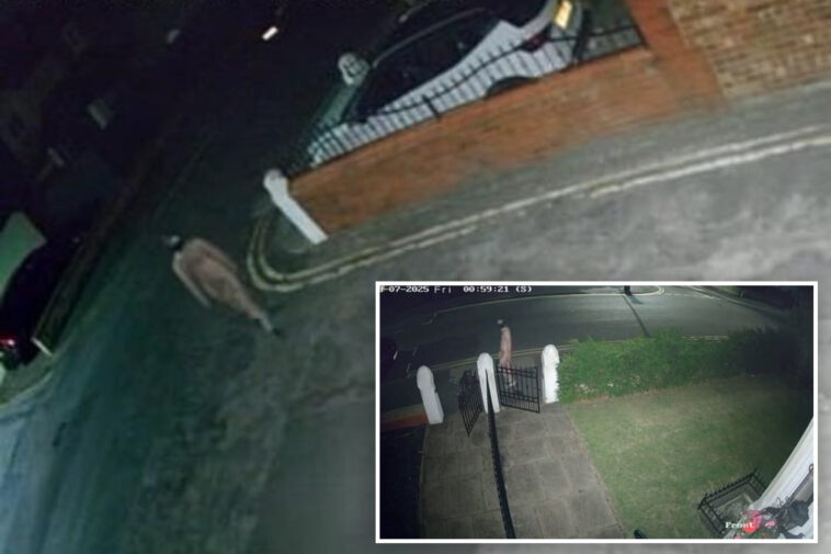 naked-man-in-gimp-mask-caught-on-bizarre-video-prowling-quiet-town