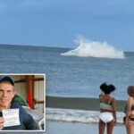 small-plane-tumbles-into-ocean-but-pilot’s-quick-thinking-averts-disaster:-‘the-engine-just-stopped’