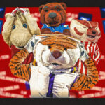 college-football-viewer’s-guide:-which-teams-have-the-toughest-schedules-in-2025?