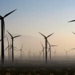 gargantuan-‘bird-cemeteries’-in-burgum’s-crosshairs-as-doi-looks-to-curb-green-wind-projects