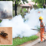 severe-outbreak-of-mosquito-borne-chikungunya-virus-infects-8,000-in-china,-prompts-mass-quarantines
