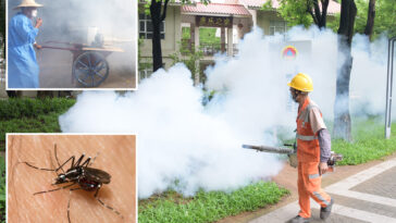 severe-outbreak-of-mosquito-borne-chikungunya-virus-infects-8,000-in-china,-prompts-mass-quarantines