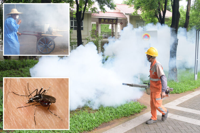 severe-outbreak-of-mosquito-borne-chikungunya-virus-infects-8,000-in-china,-prompts-mass-quarantines