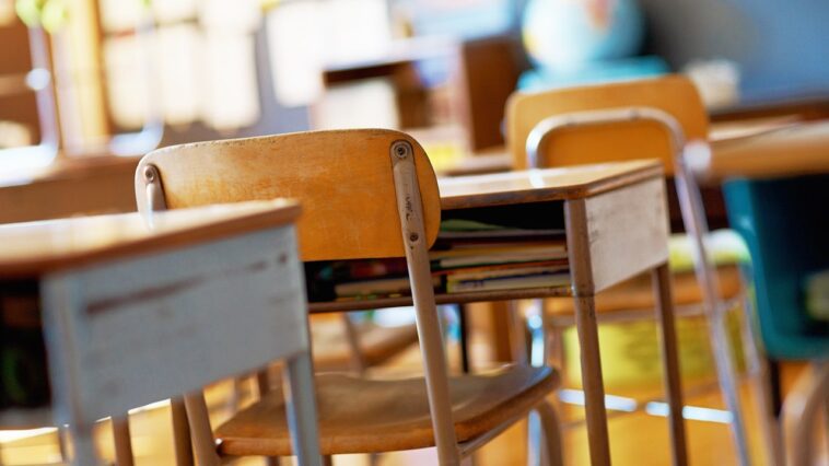 school-districts-hire-consultants-to-recruit-students-as-they-face-enrollment-crisis:-report