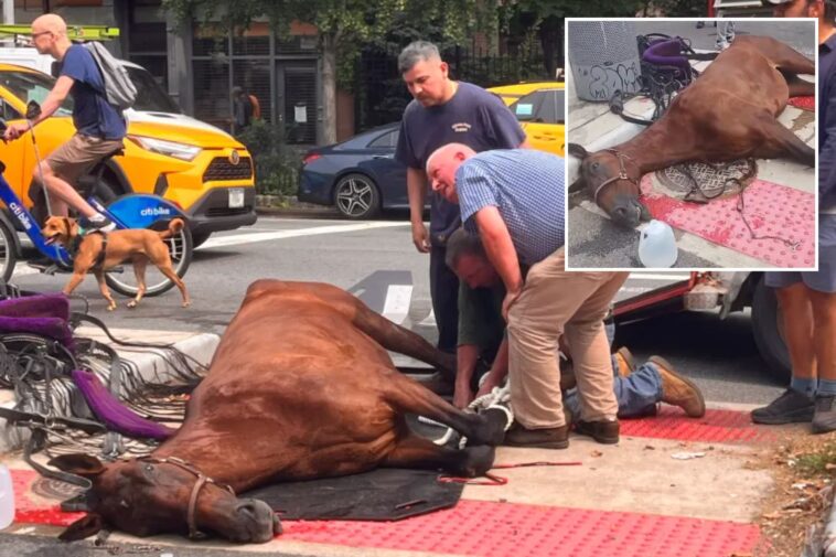carriage-horse-dies-on-nyc-street-in-horrifying-scene-—-nearly-three-years-to-the-day-distressed-ryder-collapsed