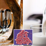 raw-milk-from-florida-farm-sickens-21,-including-6-children,-with-e.-coli,-food-poisoning