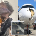 bird-strike-forces-emergency-landing-of-iberia-plane,-causes-massive-damage-and-panic-among-passengers