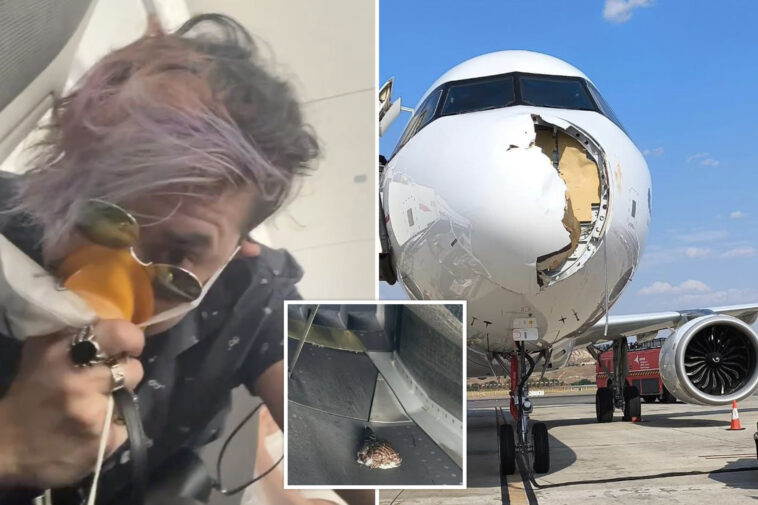 bird-strike-forces-emergency-landing-of-iberia-plane,-causes-massive-damage-and-panic-among-passengers