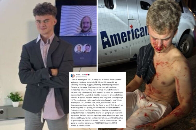 ex-doge-staffer-nicknamed-‘big-balls’-left-bloodied-after-savage-dc-carjacking-attempt-by-10-juveniles