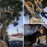 a-homeless-man-built-a-massive-treehouse-in-la-which-the-city-tore-down-—-but-he’s-already-rebuilding